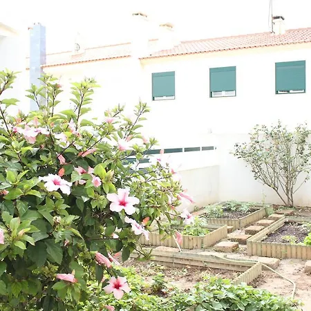 Canas House - Al * 阿雷亚布兰卡