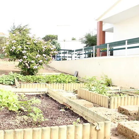 度假居 Canas House - Al