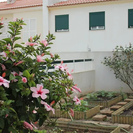 Canas House - Al Nyaraló